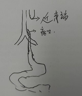 1657608236845654.png image.png
