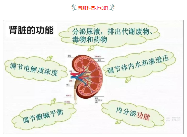 1647247127381816.png image.png